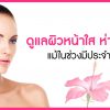 การดูแลผิวหน้าใสให้ห่างไกลสิว แม้ในช่วงมีประจำเดือน การดูแลผิวหน้าใสให้ห่างไกลสิว